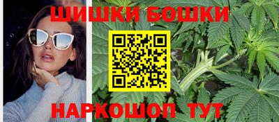 крисы Будённовск