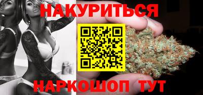 крисы Будённовск