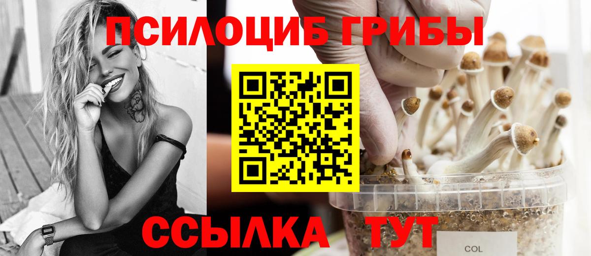 Галлюциногенные грибы GOLDEN TEACHER Шали
