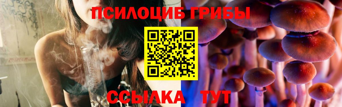 Шали  Псилоцибиновые грибы GOLDEN TEACHER  Псилоцибиновые грибы MAGIC MUSHROOMS  Вход с VPN 